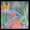 Bird of Paradise
Pastel, 2013