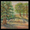 Field with Ponderosa Pines
Pastel, 2014