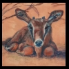 Newborn 
Pastel, 2015 