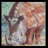 South African Rhino
Pastel, 2012