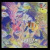 Tropical Fish
Pastel, 2013