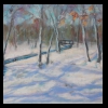 Winter at Lincoln Memorial Gardens 
Pastel, 2015 