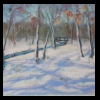 Winter at Lincoln Memorial Gardens 
Pastel, 2015 